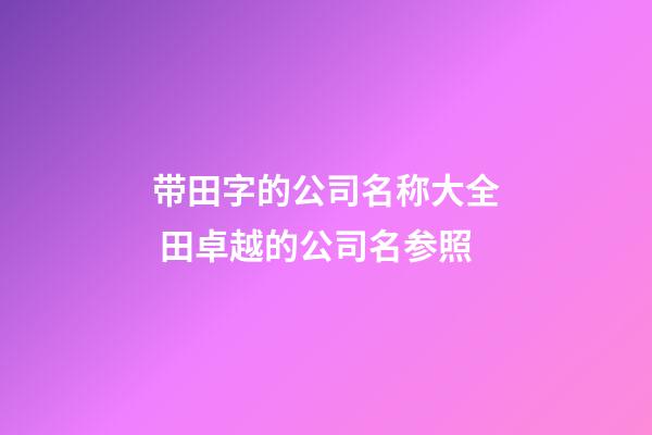 带田字的公司名称大全 田卓越的公司名参照-第1张-公司起名-玄机派